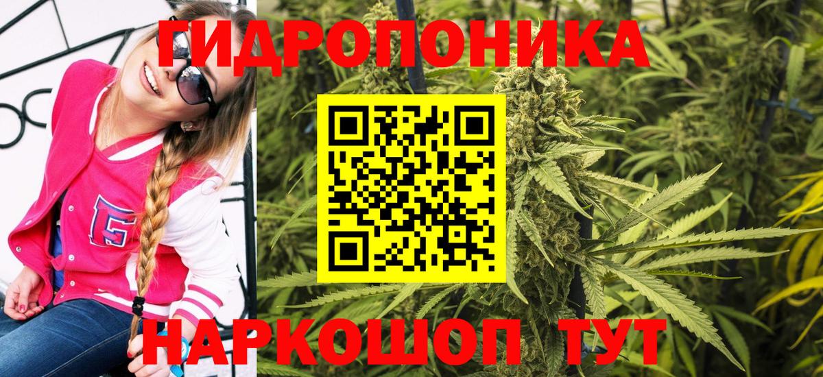 Нарткала  Марихуана Bruce Banner  Вход с VPN  Канабис Amnesia 